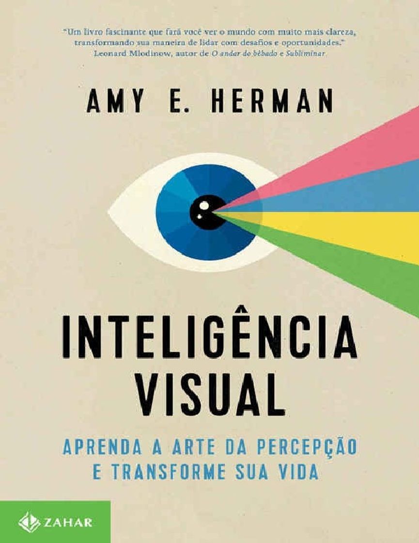 Book Inteligência visual: Aprenda a arte da percepção e transform