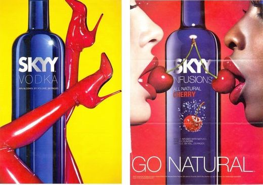 Skyy Wodka (1 x 1 l)