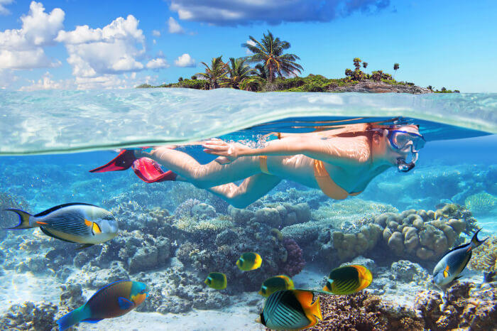 Lugares Snorkelling Beach