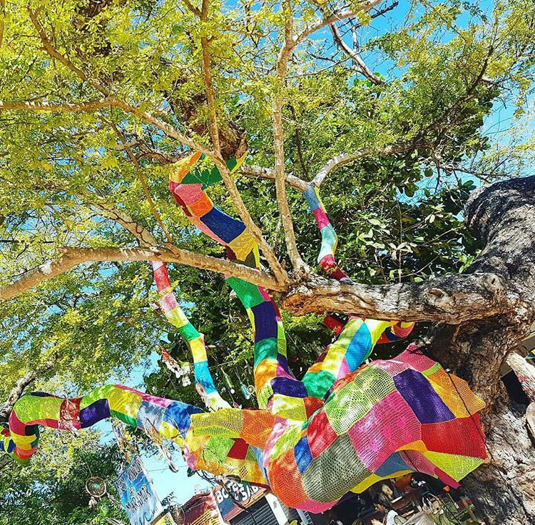 Social CE - Jericoacoara 🥰