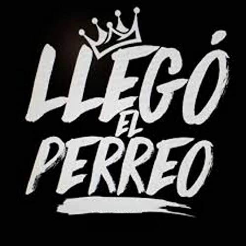 perreo pa los nenes perreo pa las nenas
