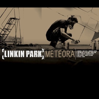 Moda Linkin Park - Meteora