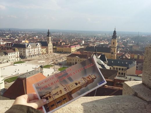 Place Oradea City Hall