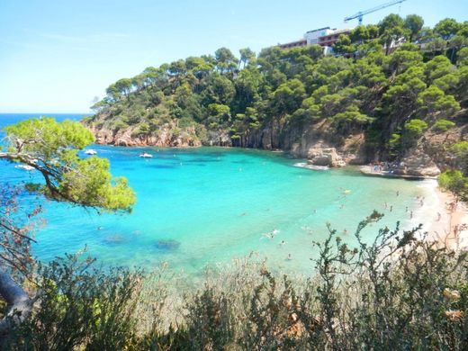 Cala aiguablava begur