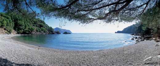 Cala rostella (rosas)