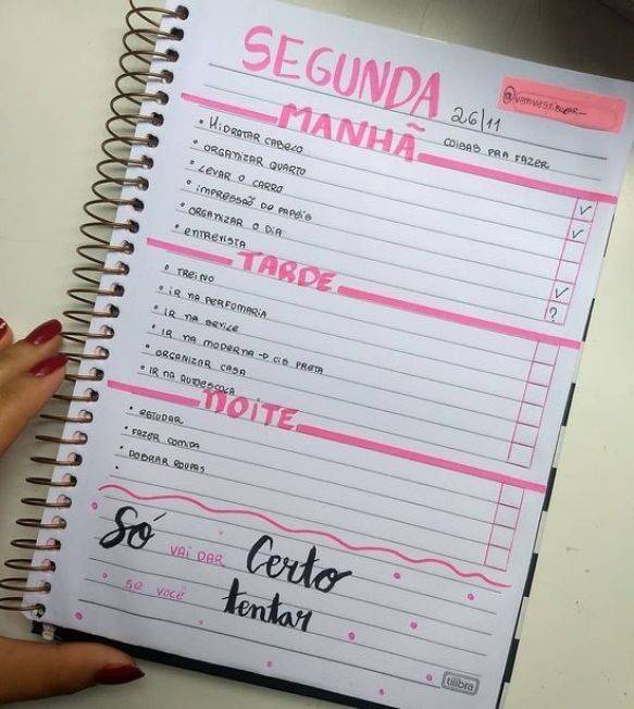 Moda Organização de estudos.