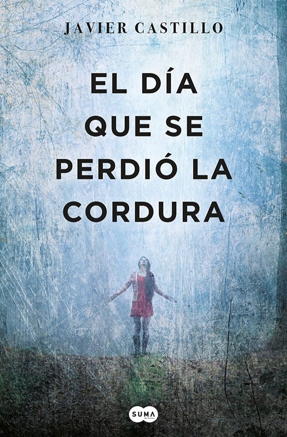 Book El día que se perdió la cordura