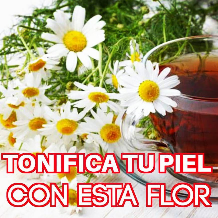 Moda 🌼💆TONIFICA TU PIEL 🌼CON ESTA FLOR🌼