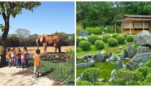 Zoológico e Jardim Botânico de BH