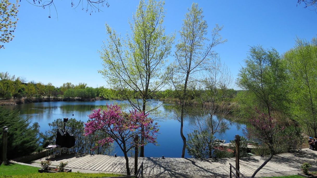 Places Las Lagunas de las Madres