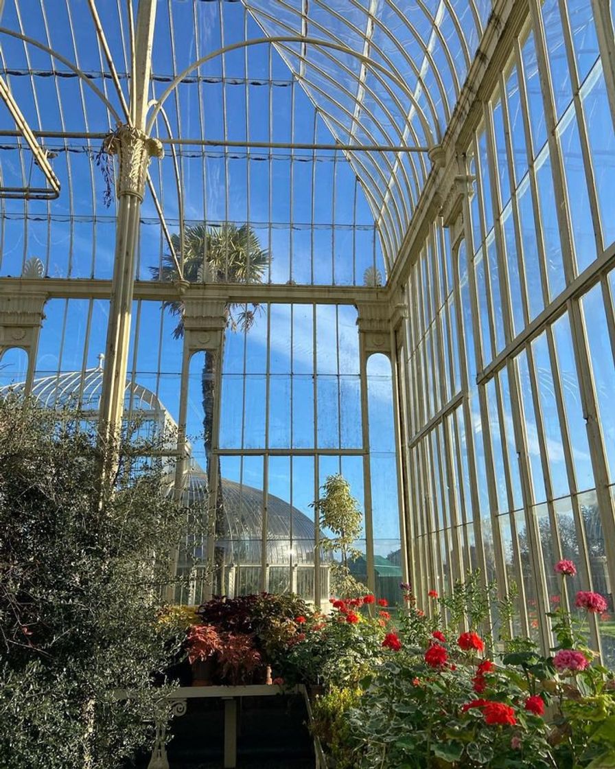 Lugar Jardín Botánico Nacional de Irlanda