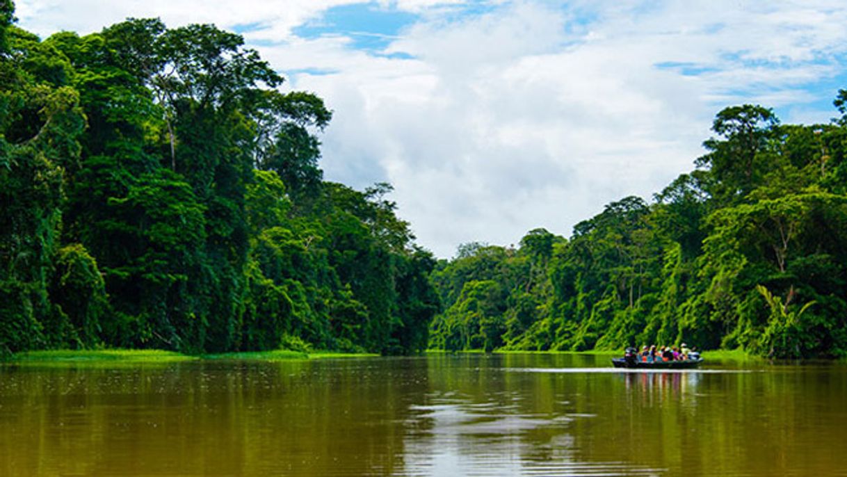 Place Tortuguero