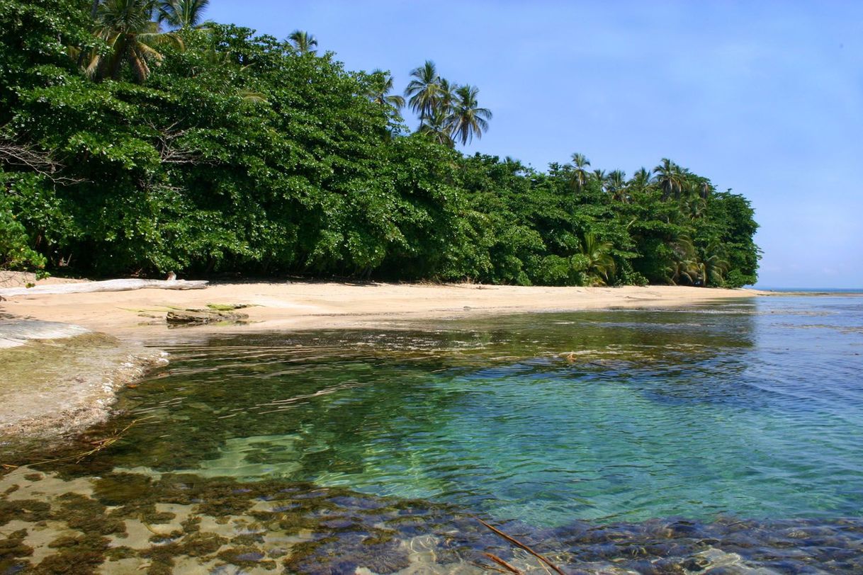 Lugar Playa Chiquita