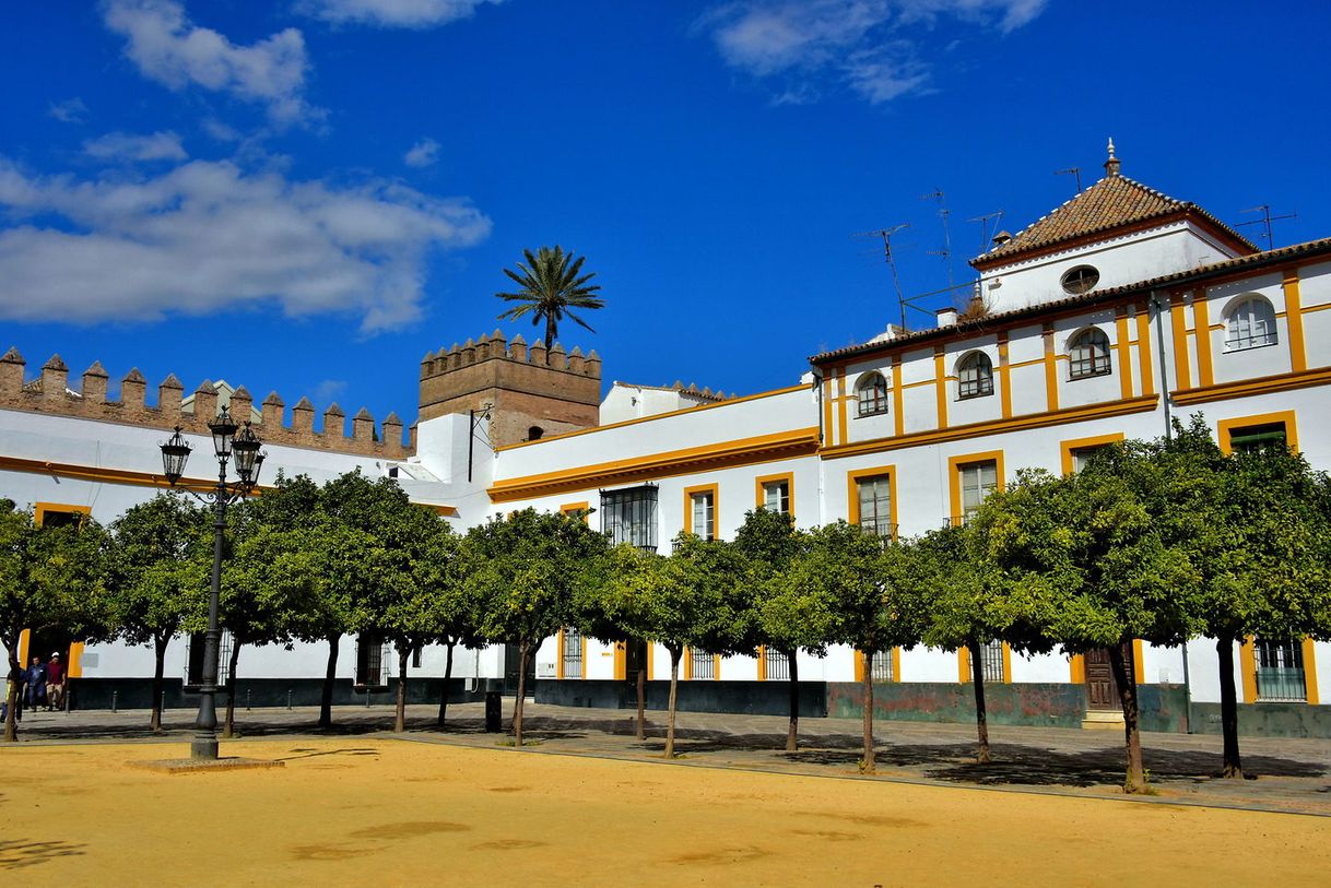 Place Patio de Banderas