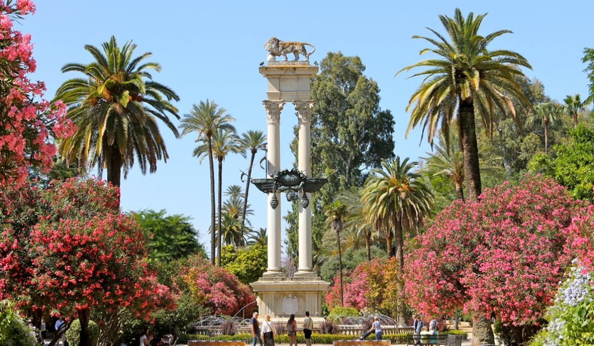 Lugar Jardines de Murillo