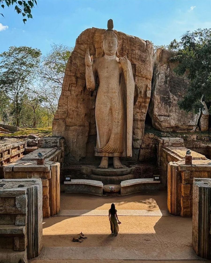 Place Avukana Buddha Statue