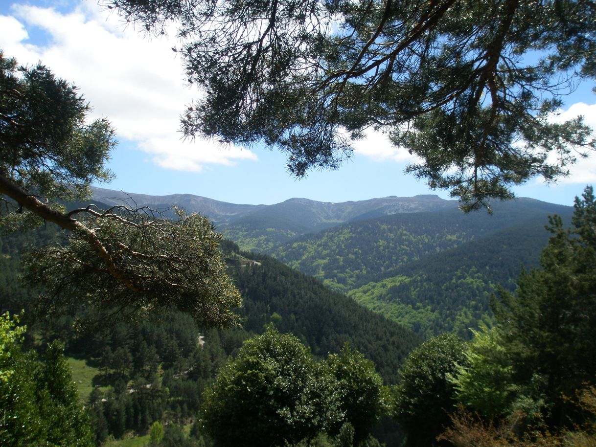 Place Parque Natural Sierra de Cebollera