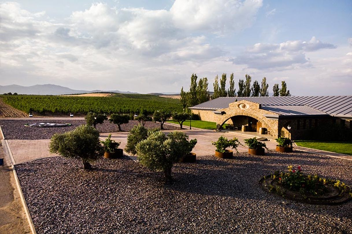 Lugar Bodega Río Negro