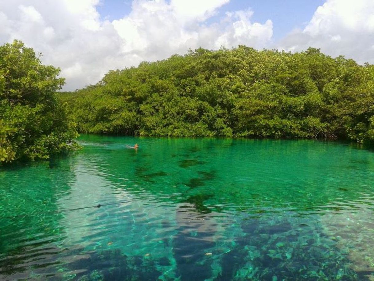 Restaurantes Cenote Manatí