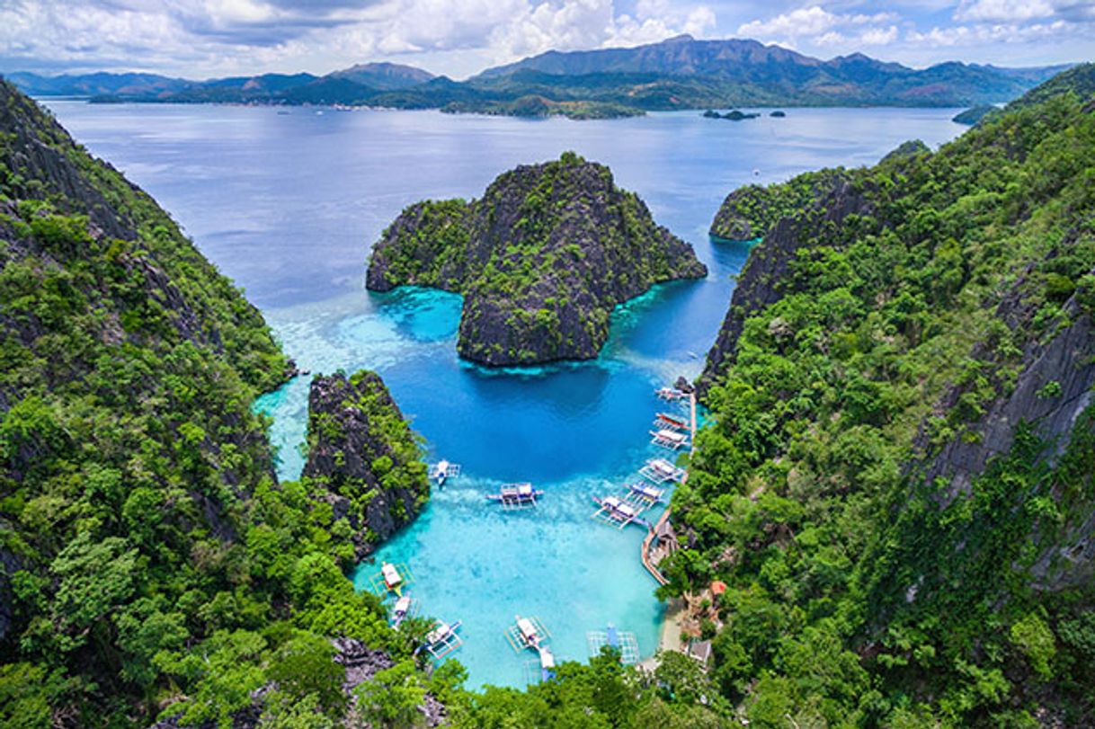 Lugar Isla de Palawan