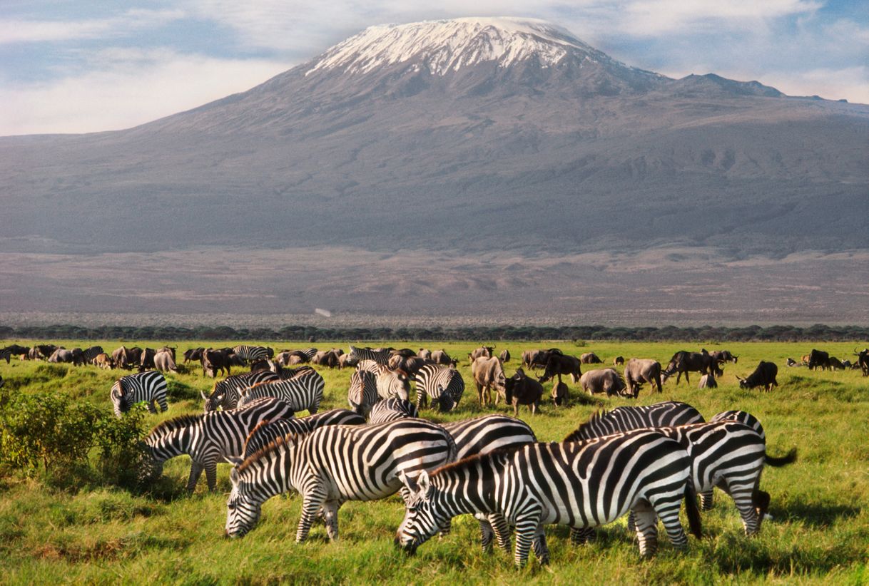 Lugar Amboseli National Park