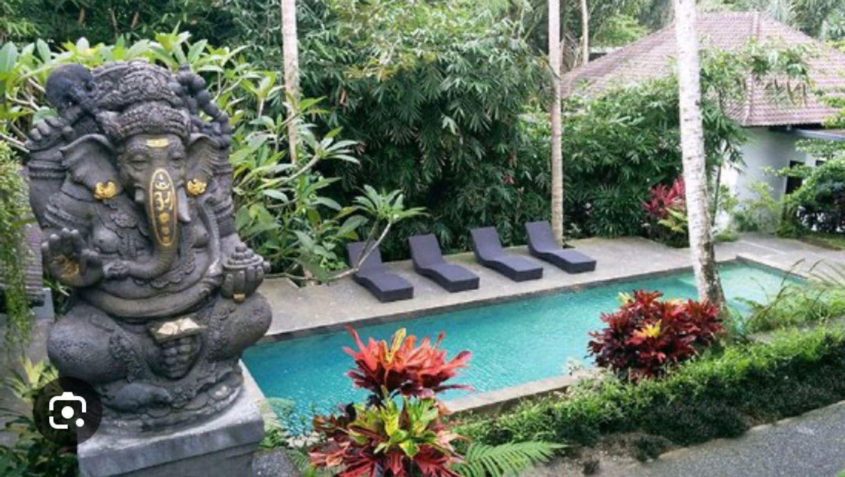 Lugares The Bali Shanti