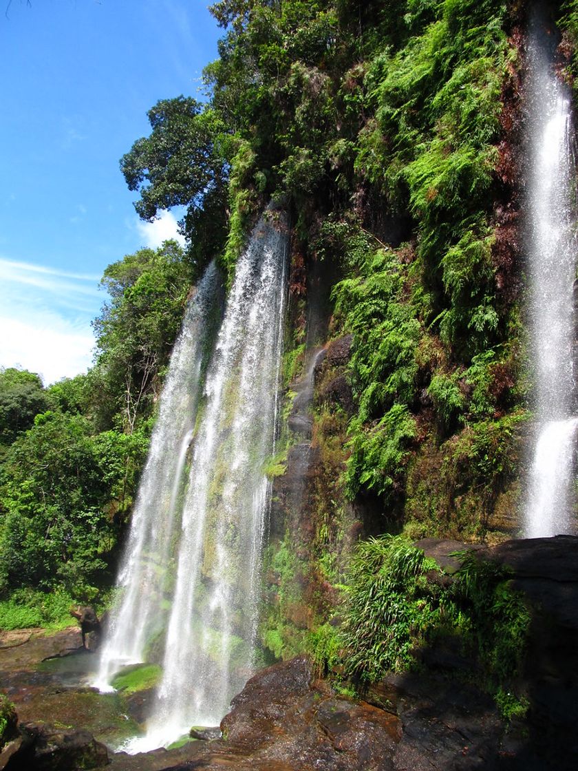 Lugar Serranía de la Macarena