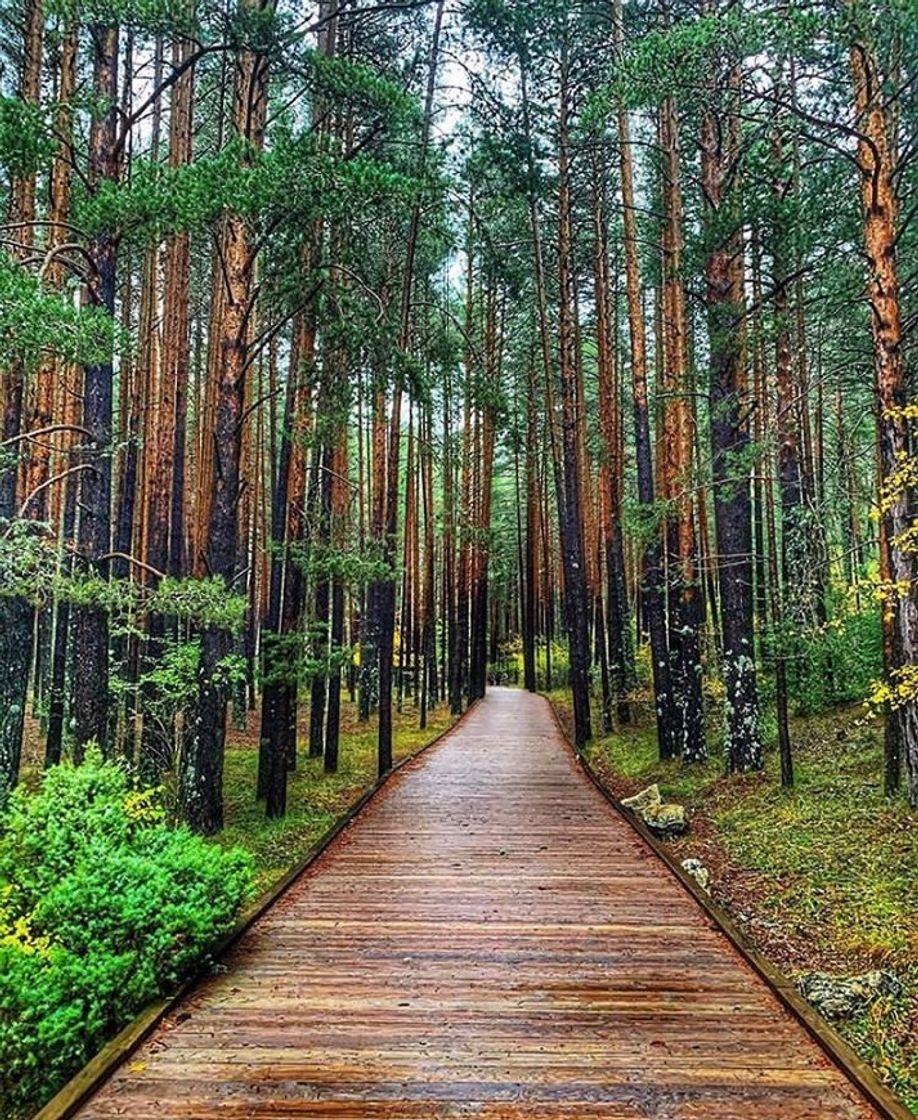 Place Vega del Codorno