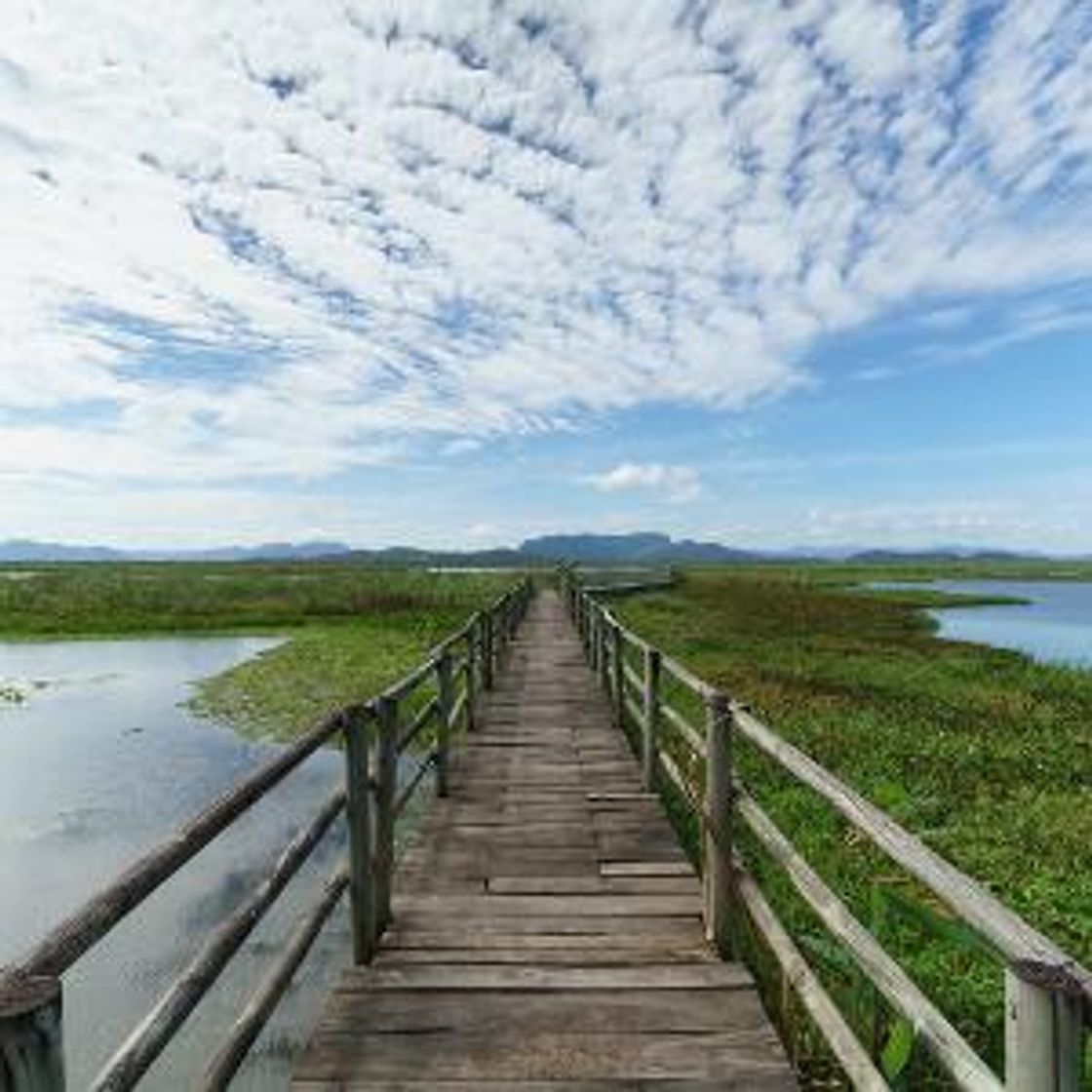 Lugares Palo Verde