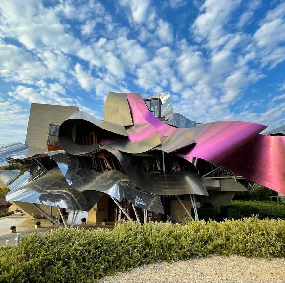 Place Bodegas de los Herederos del Marqués de Riscal S.L.