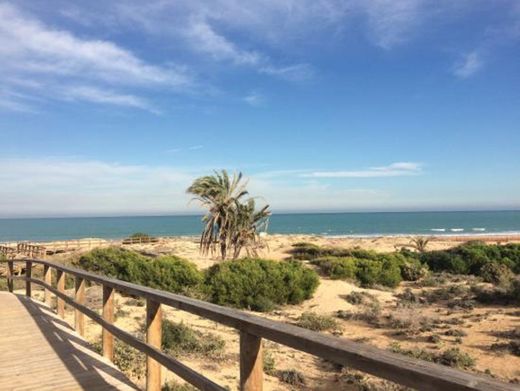 Playa de Carabassí