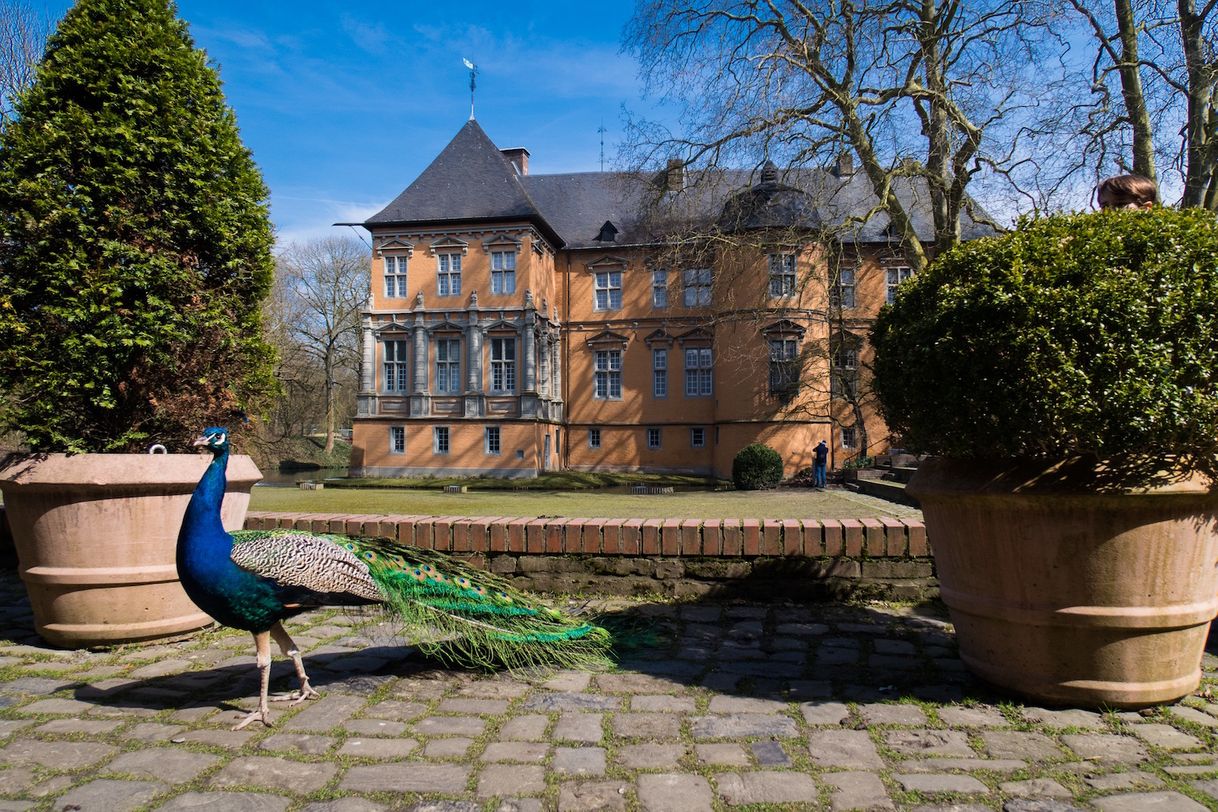 Place Schloss Rheydt