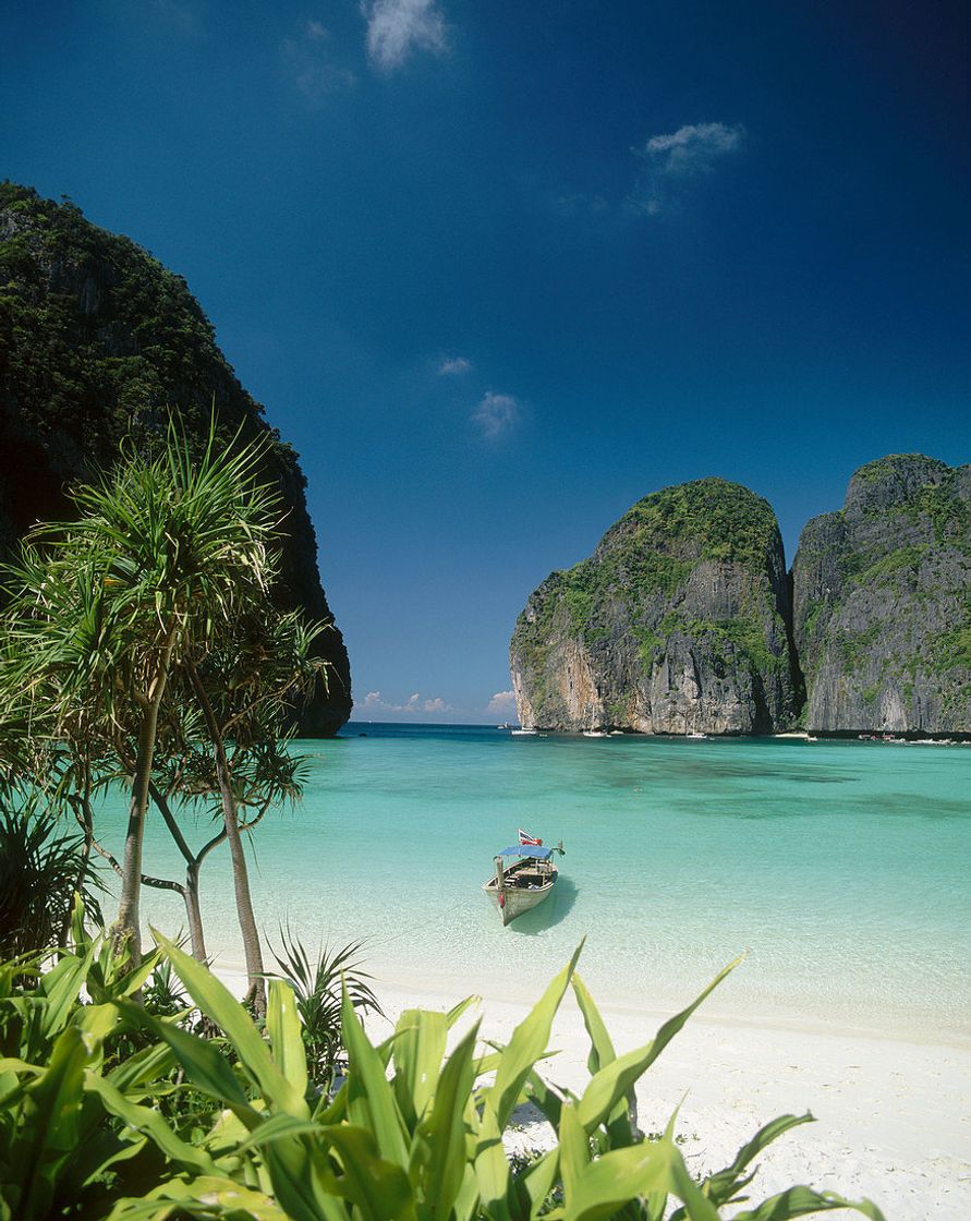 Lugar Ko Phi Phi Lee