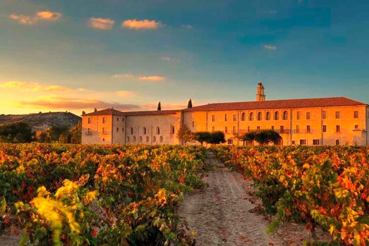 Restaurants Vinoteca - Hotel Abadia Retuerta