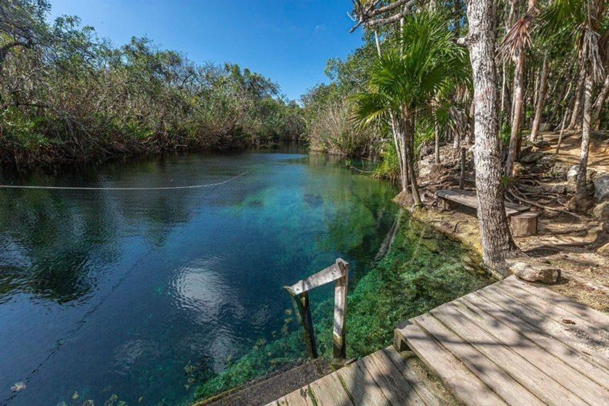 Place Cenote Cristal & Escondido