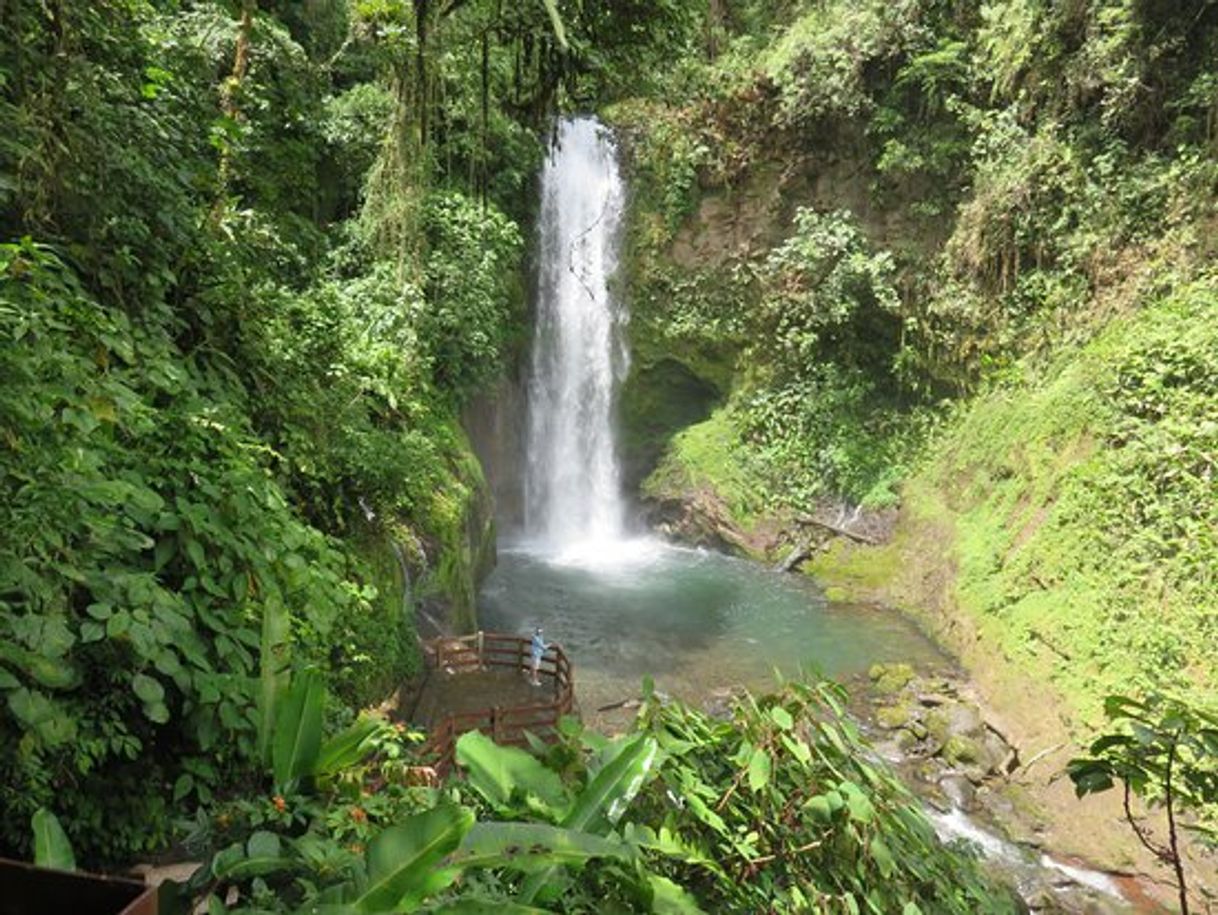 Lugar La Paz Waterfall Gardens Nature Park