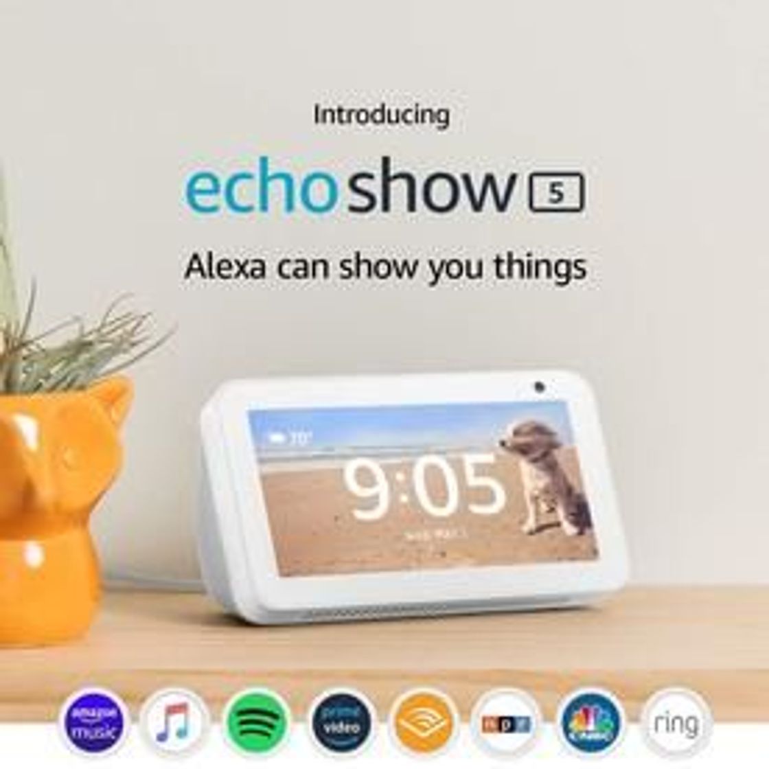 Fashion Echo Show 5 - Smart Speaker com tela de 5,5" e Alexa - Cor P