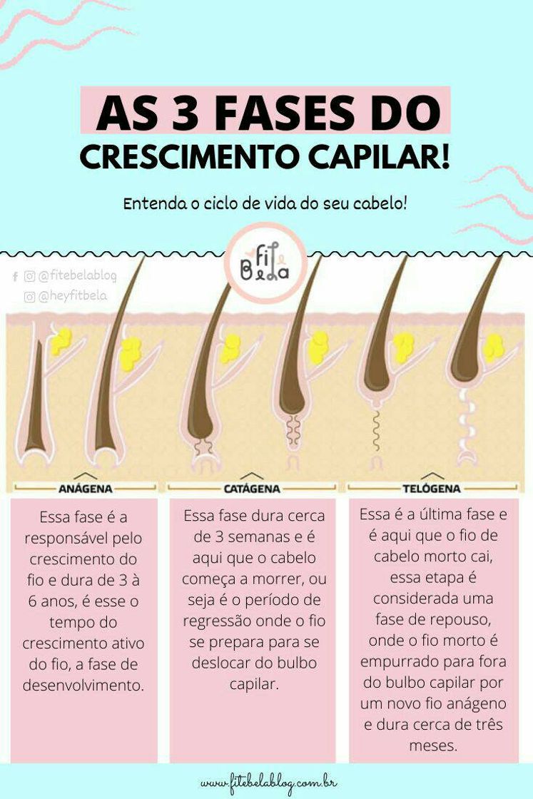 Fashion Fases do crescimento capilar