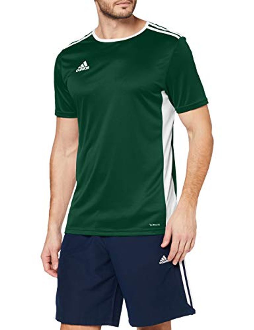 Fitness adidas Entrada 18 JSY Jersey, Hombre, Verde