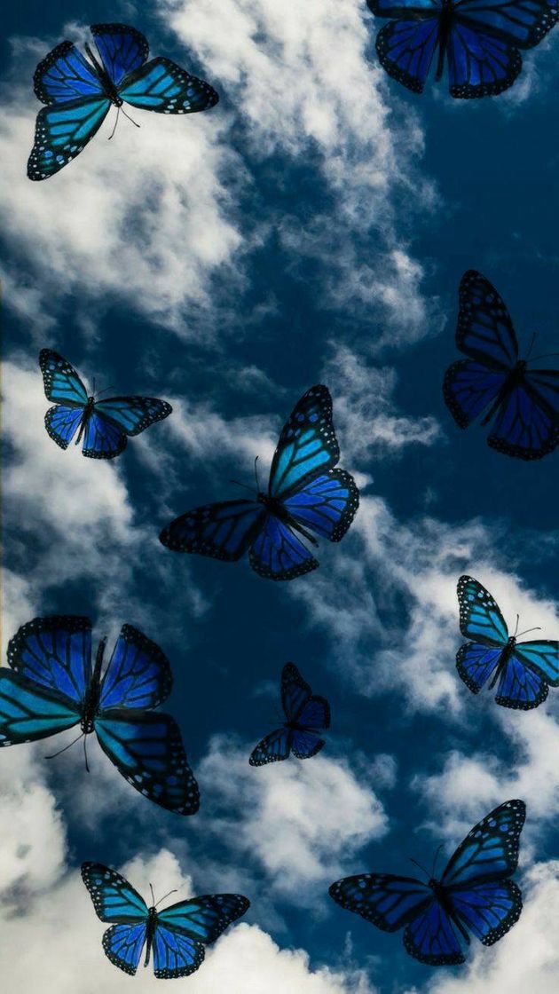 Fashion butterfly wallpaper 💙