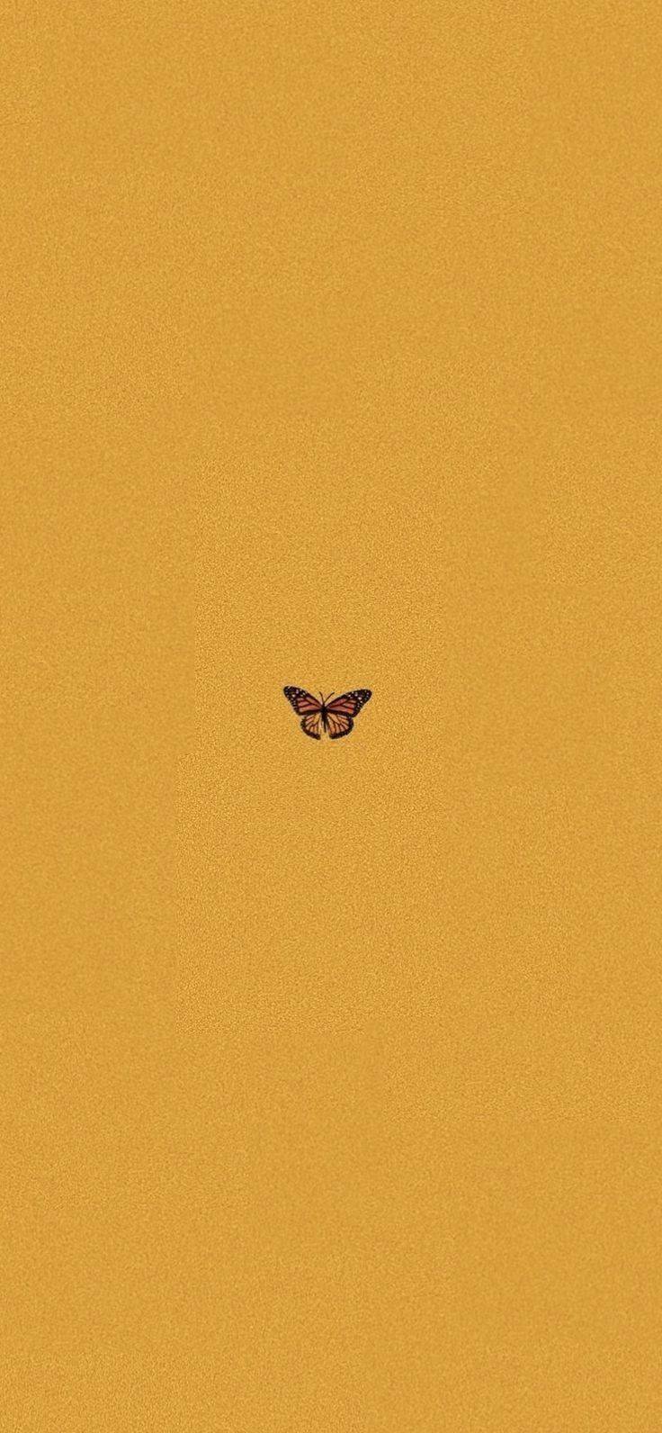 🦋