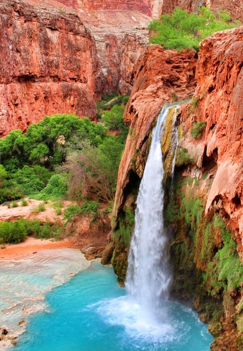 Arizona 