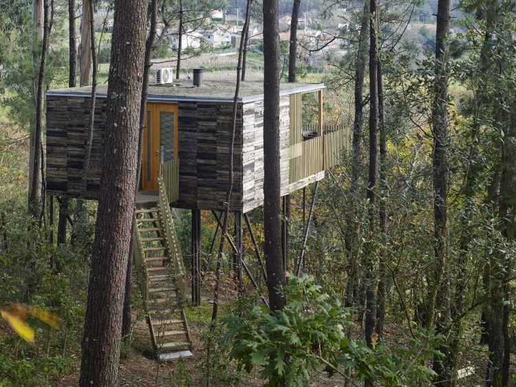 Lugar Cabañitas del Bosque