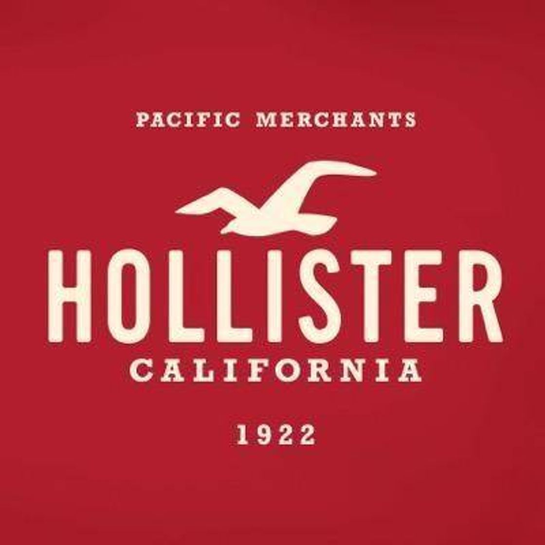 Moda HOLLISTER