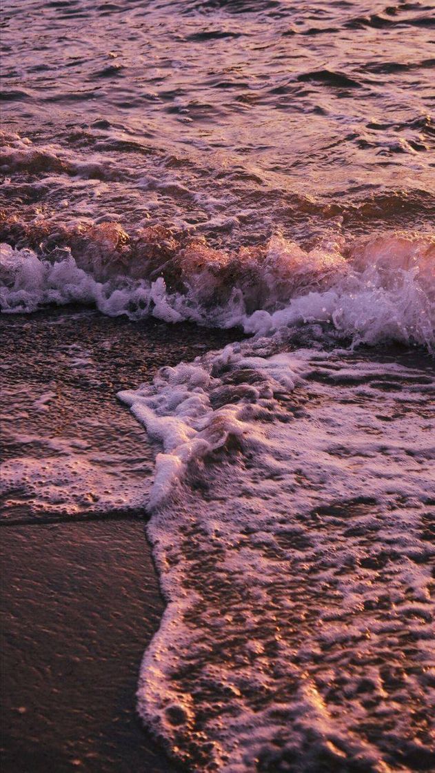 Wallpaper tumblr