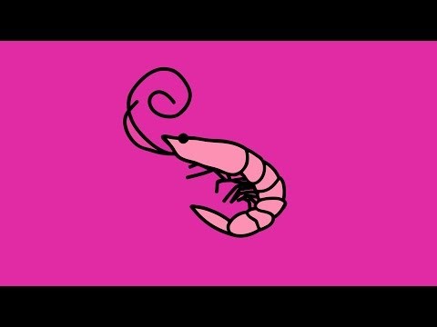 Canción Flamingo  Kero Kero Bonito