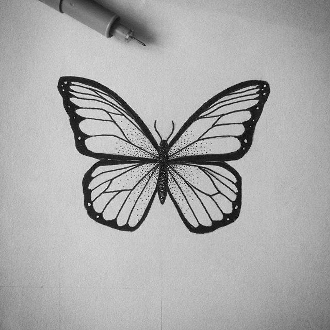 Moda Desenho Borboleta 🦋