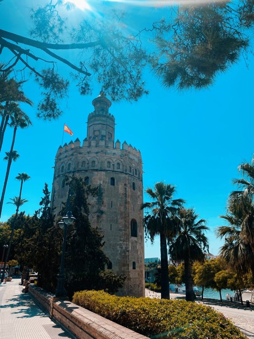 Place Torre del Oro