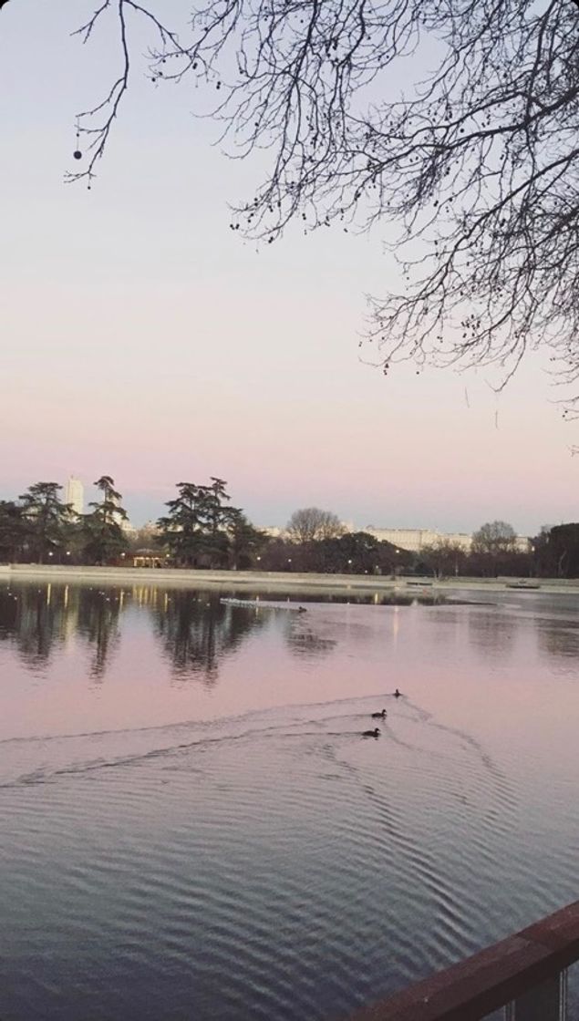 Place Lago de la Casa de Campo