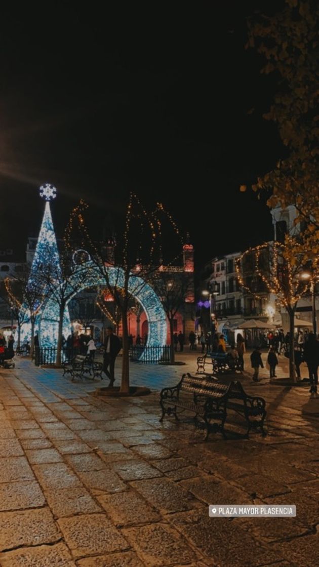 Place Plaza Mayor